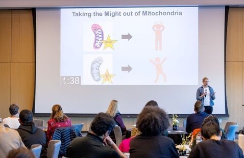 Doctoral student presenting during 2024 3MT 