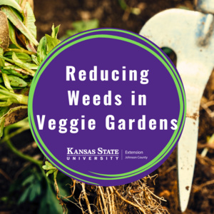 Image of Reducing Weeds in Vegetable Gardens