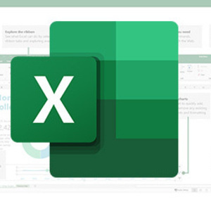 Microsoft Excel 2024