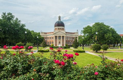 Image of Curtain Up!