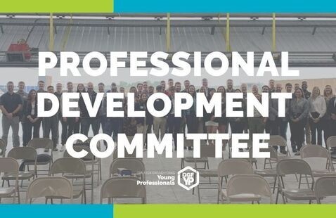 text: Professional development committee