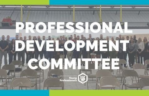 text: Professional development committee