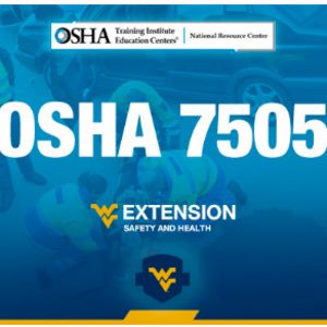 Image of OSHA 7505 Introduction to Incident (Accident) Investigation