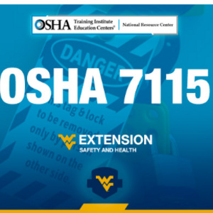 Image of OSHA 7115 Lockout/Tagout