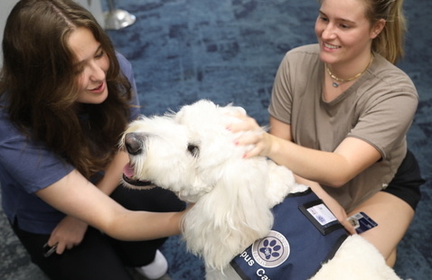 Two students petting service animal