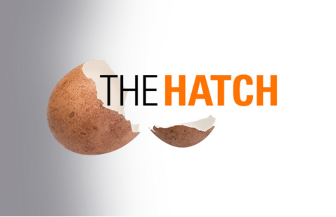 Image of The Hatch