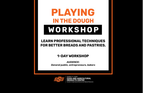 Playing-in-the-dough-workshop