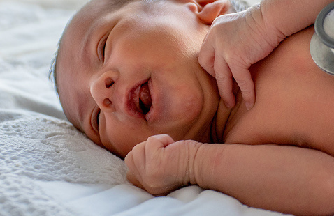 Image of Miami Neonatology Conference 2026
