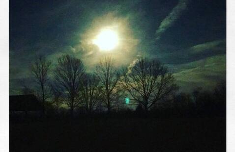 Full moon over trees