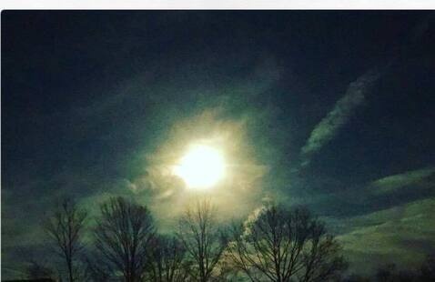 moon over trees