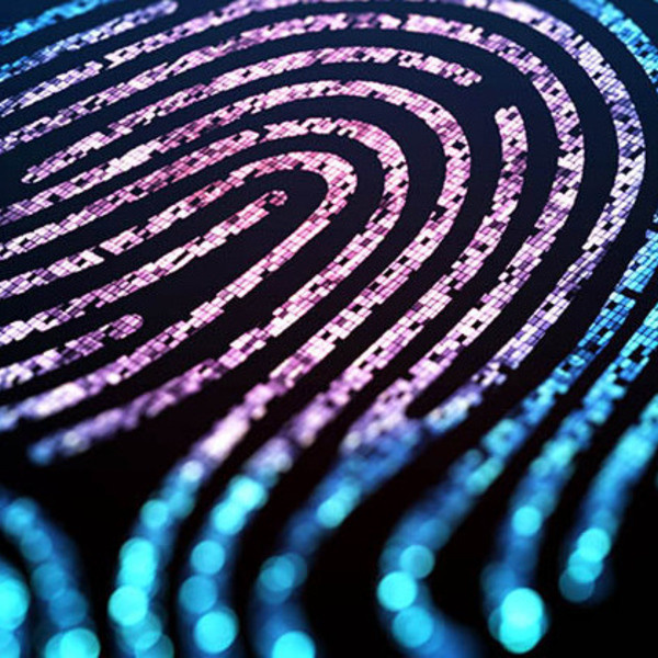 Protection of Minors Live Scan Fingerprinting