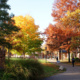 Image of Residence Life