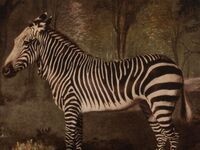 Event image for Menagerie: Animals in Art from the KAM Collection