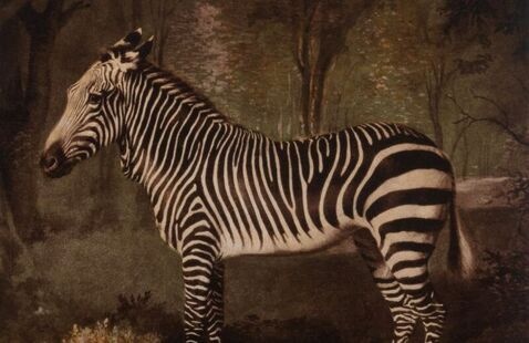 Image of Menagerie: Animals in Art from the KAM Collection