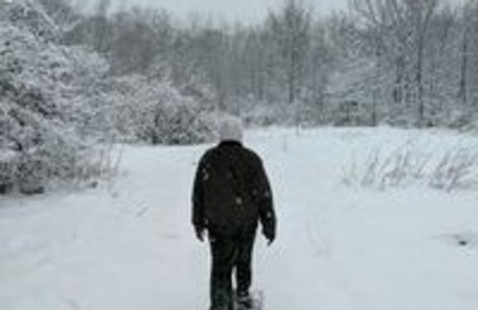 Image of Basics of Snowshoeing
