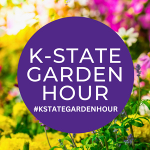 K-State Garden Hour logo