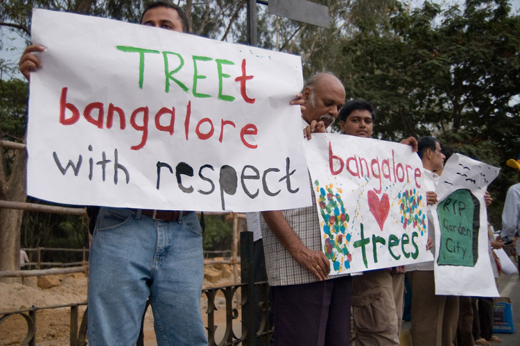 Administering the Environment: The Expert-Panel Report as a Form of Knowledge