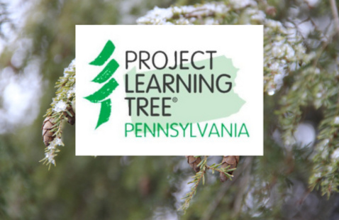 Project learning tree PA logo