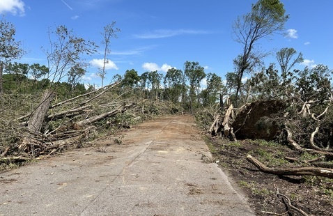 The closed road shortly after the tornado.
