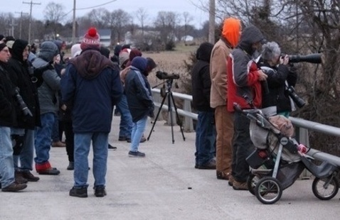 Participants at an eagle watch using spotting scopes for good views of multiple eagles.
