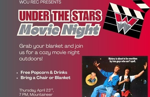 Image of Under the Stars Movie Night