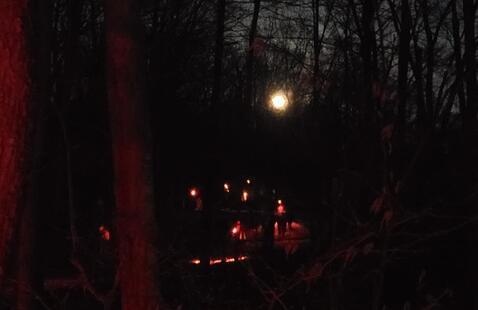 A full moon hike at Brown County State Park