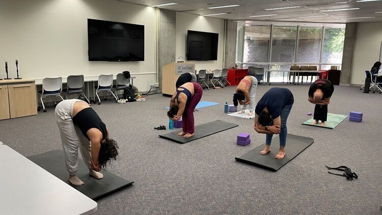 Yoga class in session with attendees performing yoga poses.