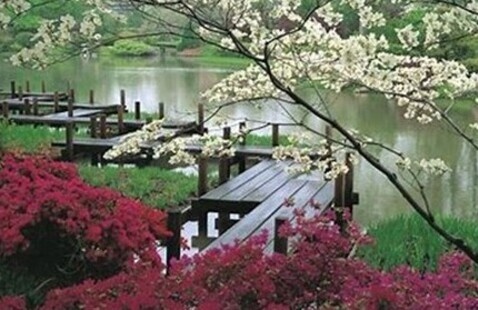 Japanese Garden
