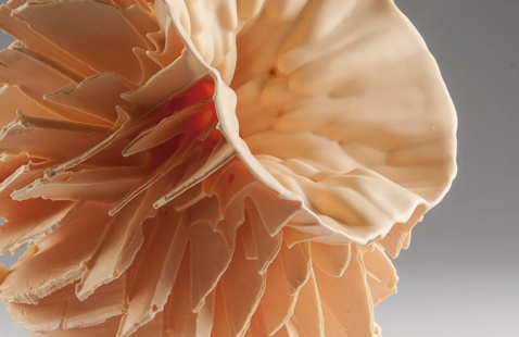 Flying Garden Series by Zsolt Jozsef Simon