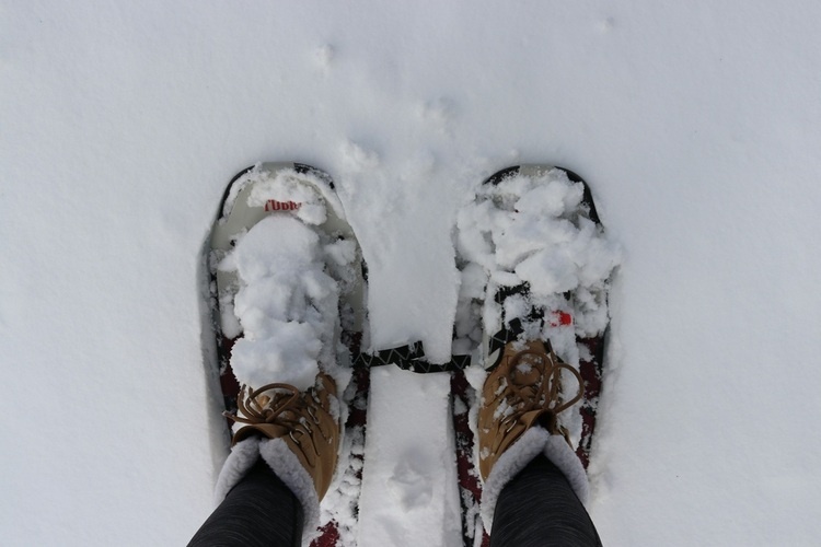 Snowshoe Hike