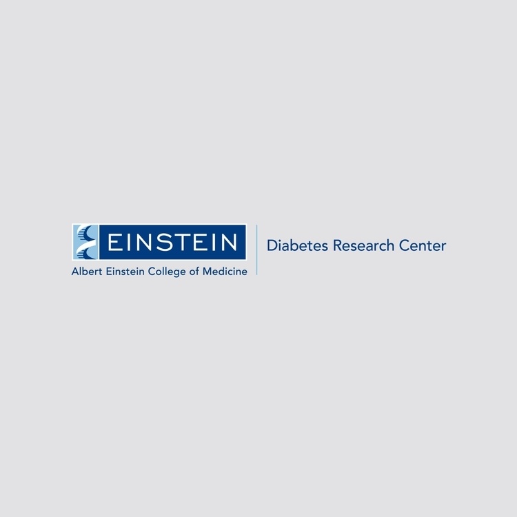 Diabetes Center Conference   
