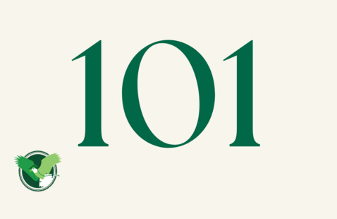 101 in large bold lettering
