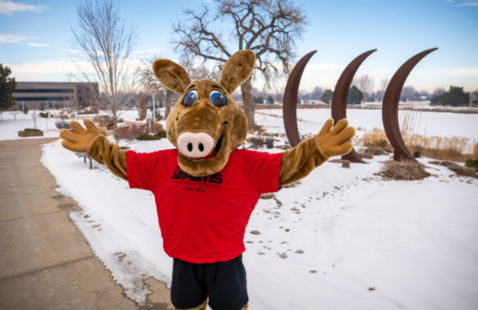 Arty on Greeley Campus with Snow on Ground