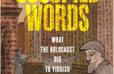 Image of Hannah Pollin-Galay virtual talk