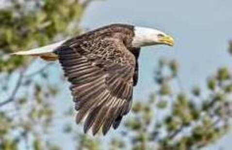 2025 Annual Photo Contest Winner - Eric Humb