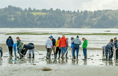 A group of people stand in an estuary with pvc pipe.