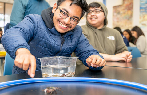 A group of kids smile as they watch a crab move around on a table.