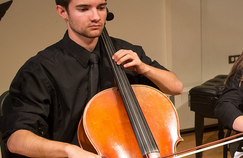 Image of Orchestra Concert
