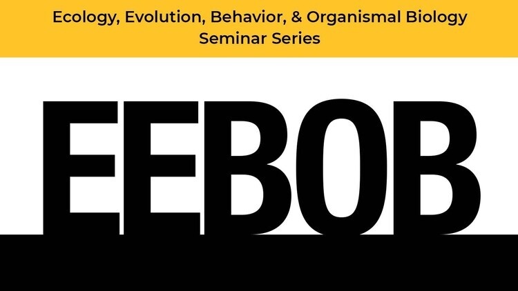 Ecology, Evolution, Behavior, & Organismal Biology (EEBOB) seminar series