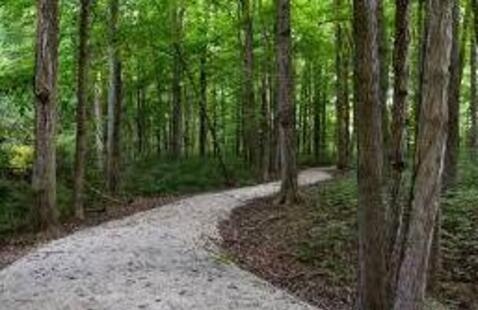 trail