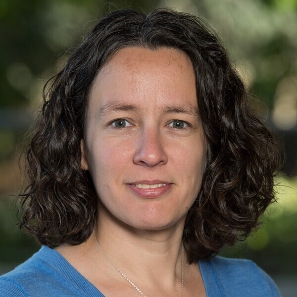 Image of Earth Planetary Sciences Seminar - Prof. Laura Schaefer "Connecting the Early Solar System to Current Observations of Small Exoplanets"