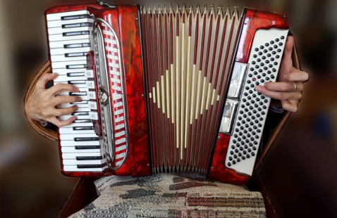 Person playing the accordion.