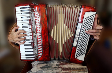 Person playing the accordion. 