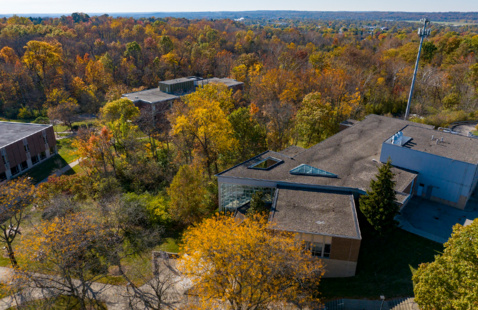 Photograph of trees on the Middletown campus.