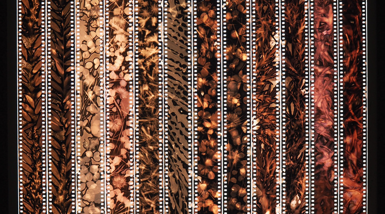 Karel Doing, "A Perfect Storm"