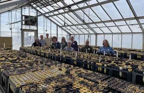 Volunteers assist in the greenhouse at Prophetstown State Park