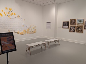 Image of Hostile Terrain 94 Tag-Filling Workshops