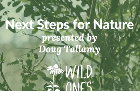 video title and presenter name