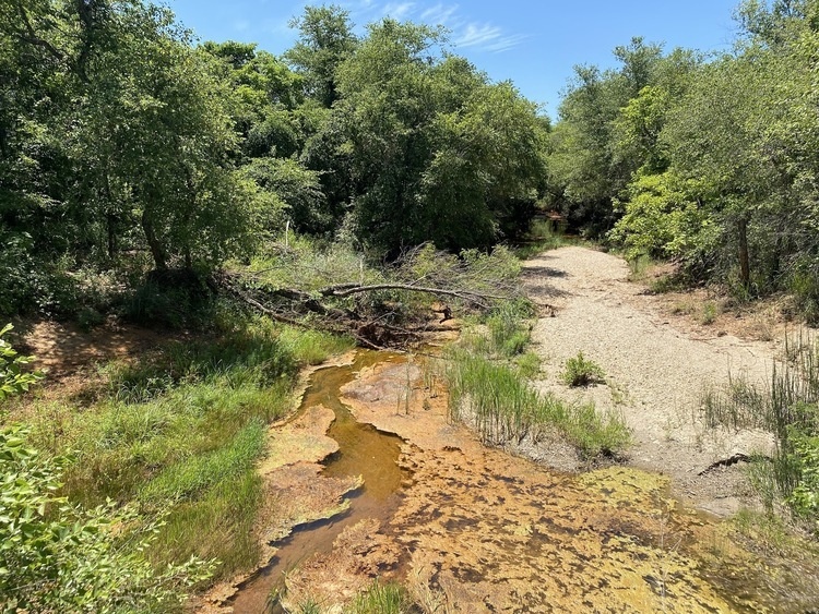Jessica Tran's photo of the superfund site.