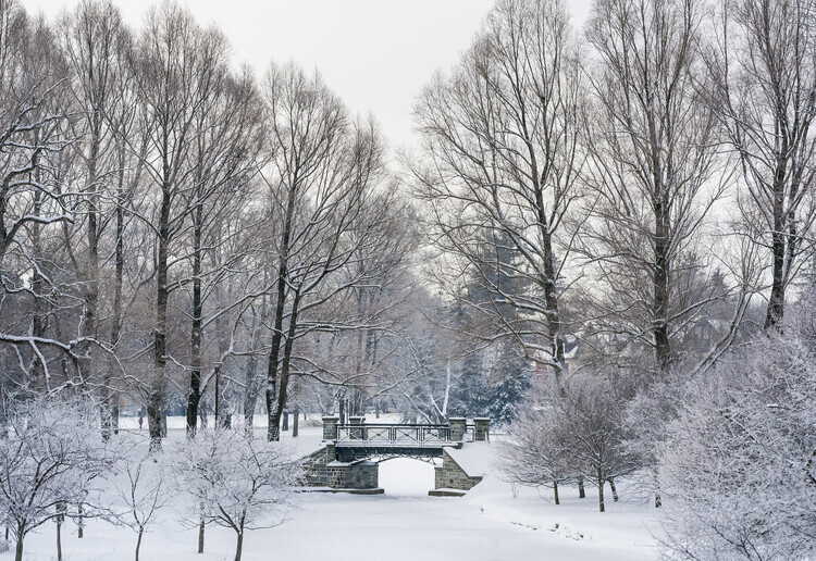 Colgate Scenic in the Winter